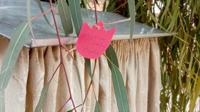 جشن ولادت امام زمان(عج)