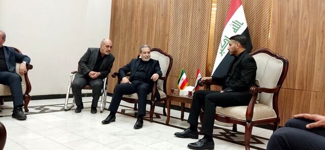 عراقچی به نجف سفر کرد