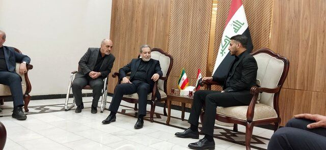 عراقچی به نجف سفر کرد