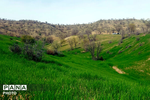 طبیعت دِراز‌رود؛ زیباترین تابلوی سبز لردگان