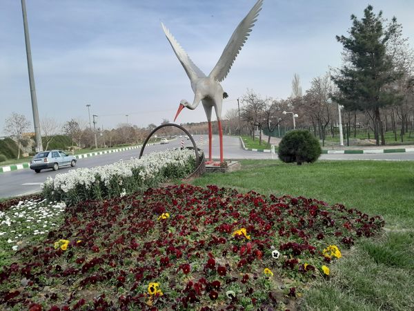 رد پای بهار در مشهد