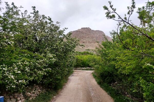 شهر زیبای بار، بهشت نیشابور