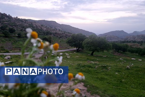 قبرستانی تاریخی و سرسبز به قدمت چند صد ساله در فارس