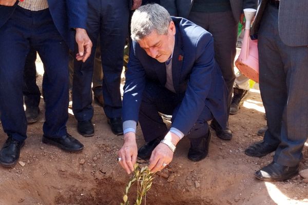 آئین بزرگداشت روز ملی درختکاری در شیراز 