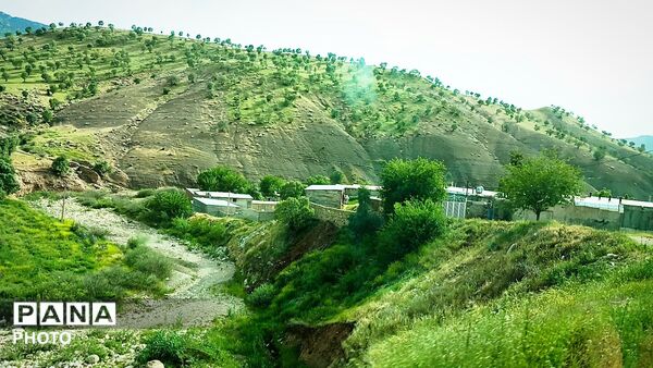 معمولان؛ نگین سرسبز زاگرس در آغوش لرستان