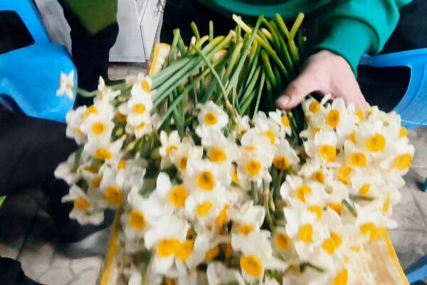 برگزاری جشن میلاد امام علی (ع) هیات الصابرین