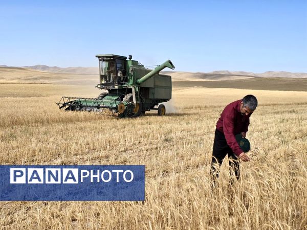 بازدید برداشت گندم در شهرستان فاروج