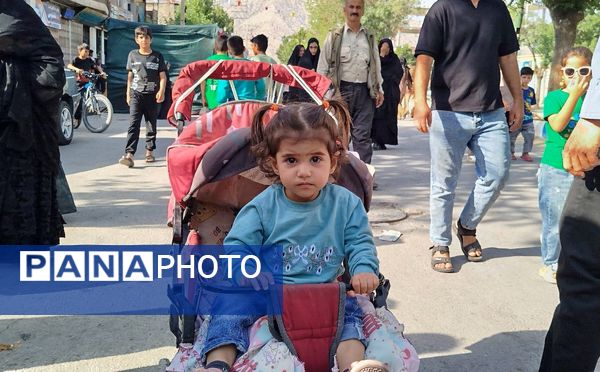 موکب‌های غدیری، جلوه‌ای از عشق و ارادت