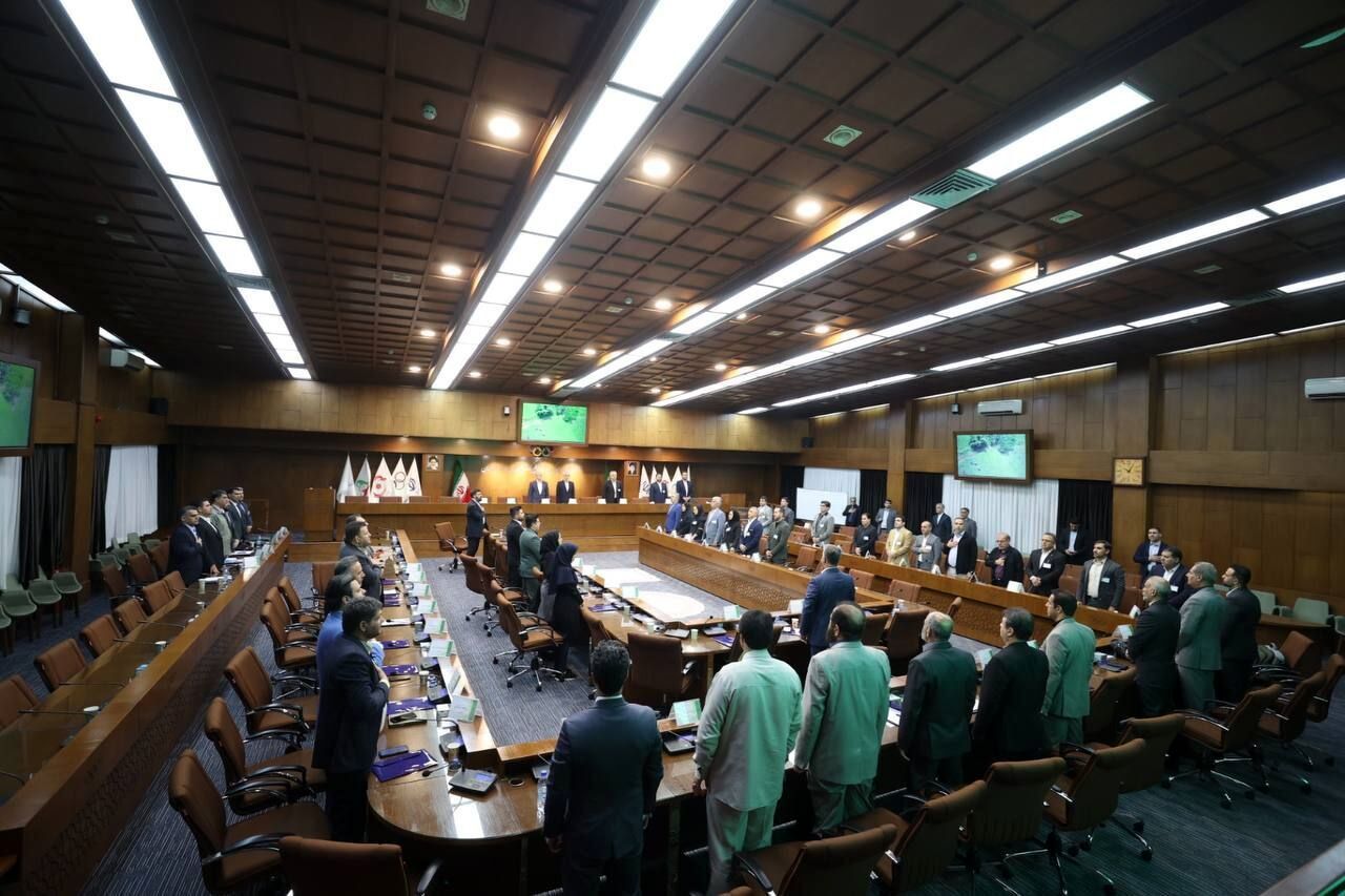 رئیس فدراسیون انجمن‌های ورزش‌های رزمی معرفی شد