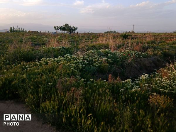 طبیعت چشم نواز روستای دهنو