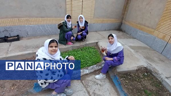 اردوی  درون مدرسه‌ای در مدرسه قرآنی شهید قادر پناه