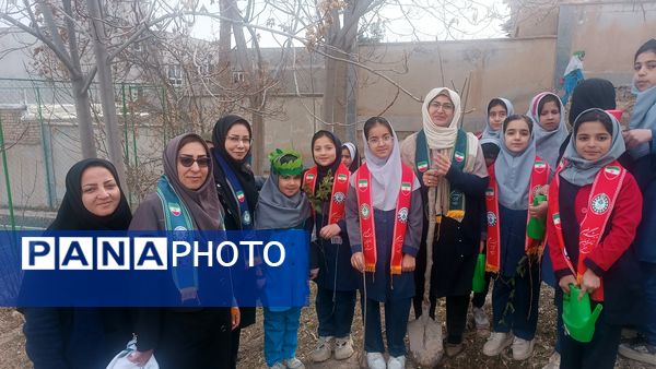 درختکاری در دبستان شهید ذکاوتی مایوان