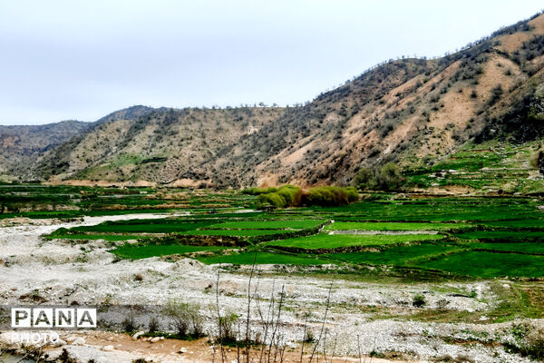 طبیعت روستای بیدله به هنگام بهار