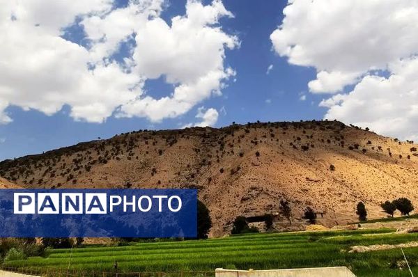 طبیعت سر سبز رفن به هنگام بهار