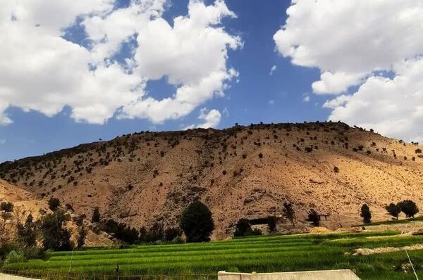 طبیعت سر سبز رفن به هنگام بهار