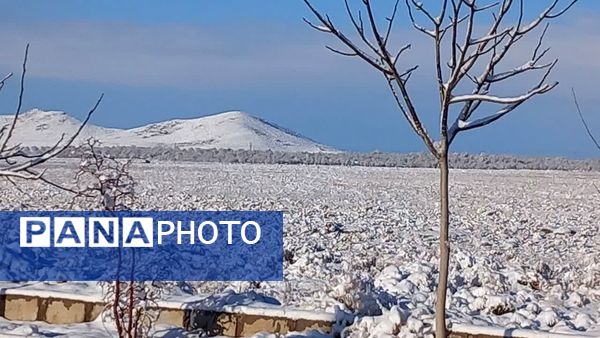 سفیدپوش شدن روستاهای یزد به روایت تصویر