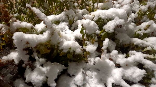 نزول برکت و نعمت در نخستین روزهای زمستانی در نیشابور