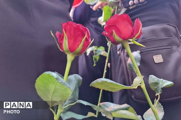مشهدالرضا؛ تجلی‌گاه ارادت و شکوه امت