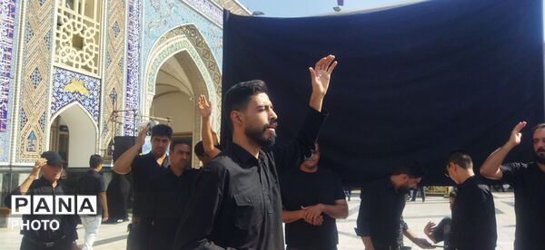 مراسم سینه زنی و عزاداری امام رضا علیه السلام توسط هیئات کاشمر 