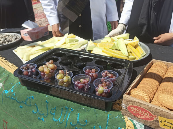 قاب‌هایی از خدمت به زائران راه بهشت