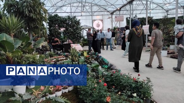 جشنواره گل‌و‌گیاه در محلات