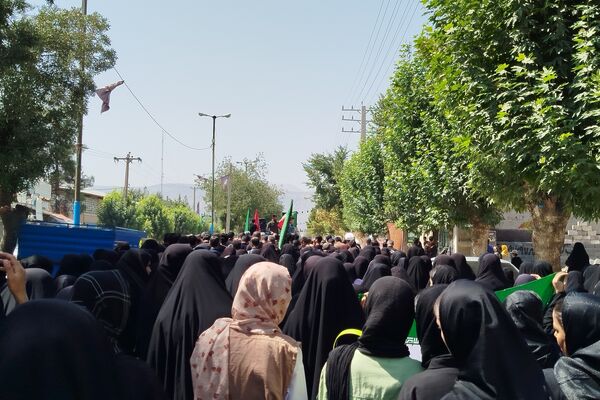 شکوه عزاداران رضوی در لردگان