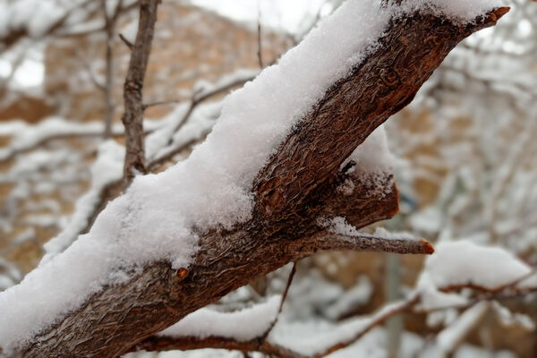 یک روز برفی در روستای بنادکوک‌ دیزه