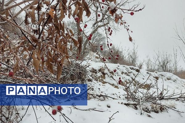یک قدم مانده به زمستان طبیعت شهر بار کاملاً زمستانی شد