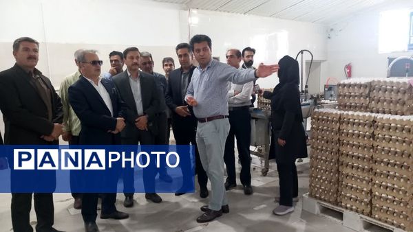 سفر معاون وزیر جهاد کشاورزی به کاشمر