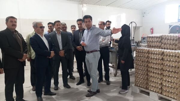 سفر معاون وزیر جهاد کشاورزی به کاشمر