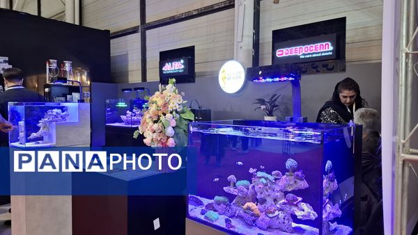 پایان هشتمین نمایشگاه خانه مدرن؛ مشهد میزبان خلاقیت و سبک زندگی 