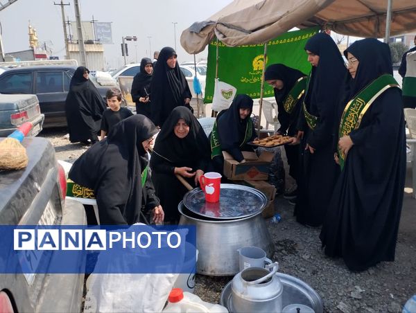 برپایی موکب امام رضا(ع) در میاندورود 