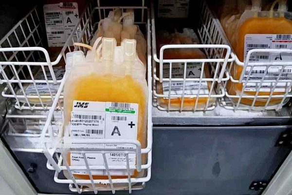 دستیابی به دانش تولید برخی داروهای خاص/صادرات کیت‌های تشخیص طبی به ۳ کشور