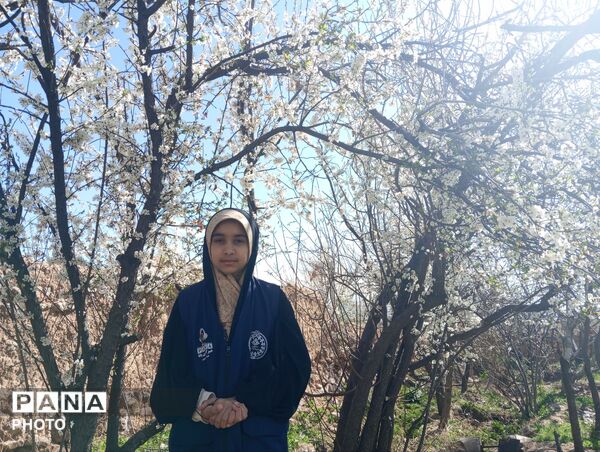 شکوفه دادن درختان روستای فیروزه