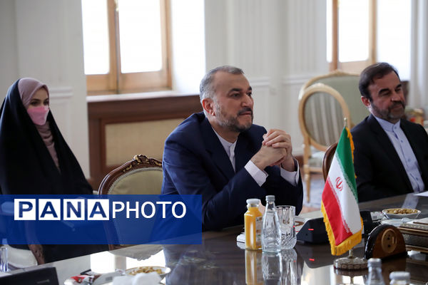 دیپلمات شهید