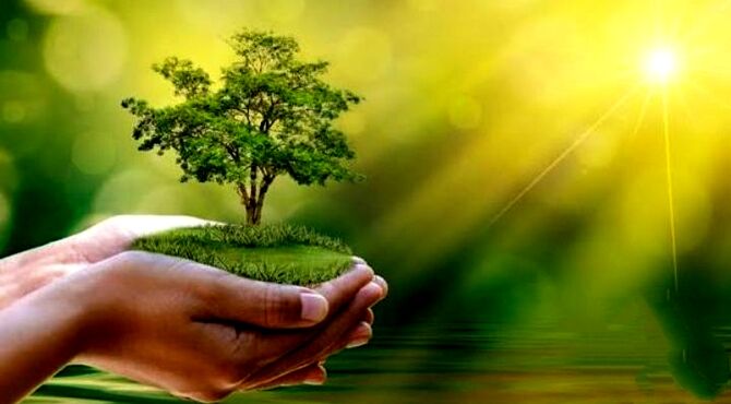 روز جهانی محیط زیست مبارک باد