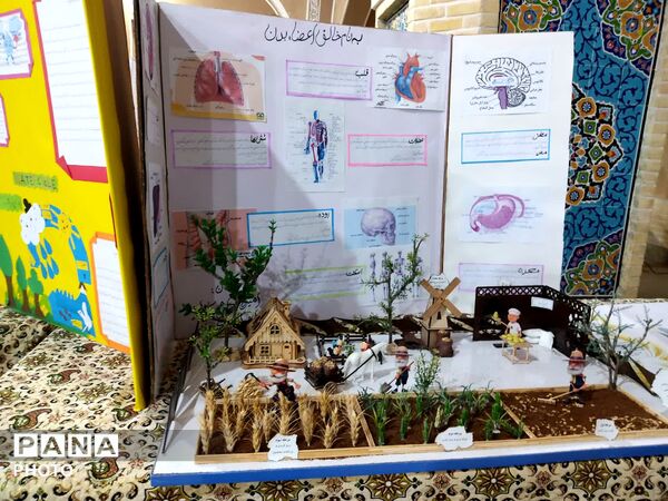 تجلی خلاقیت دانش‌آموزان یزدی در جشنواره جابربن حیان باغ دولت‌آباد