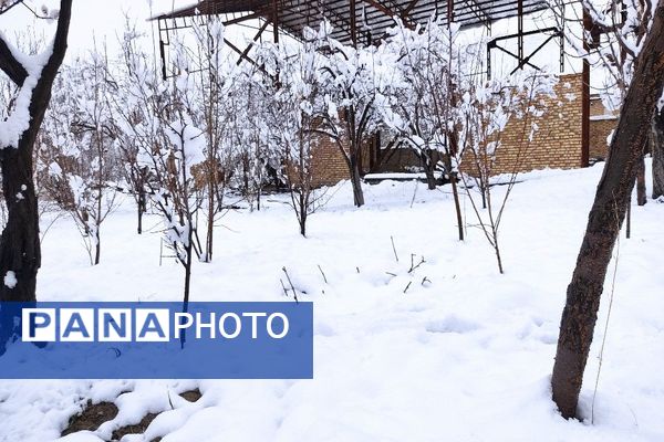 آلبوم تصویری از برف در طبیعت شهر بار 