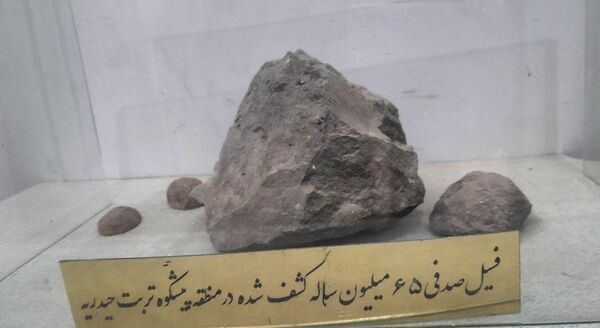 بازدید خبرنگاران پانا جلگه رخ از مجموعه گردشگری قطب الدین حیدر و رباط طبسی 