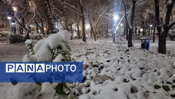 پارک‌های شهر مشهد در آغوش برف