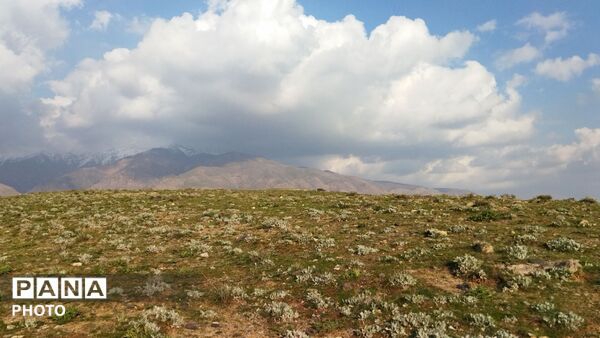 گذری بر کوه های دربهشت شهرستان نیشابور در روز طبیعت 