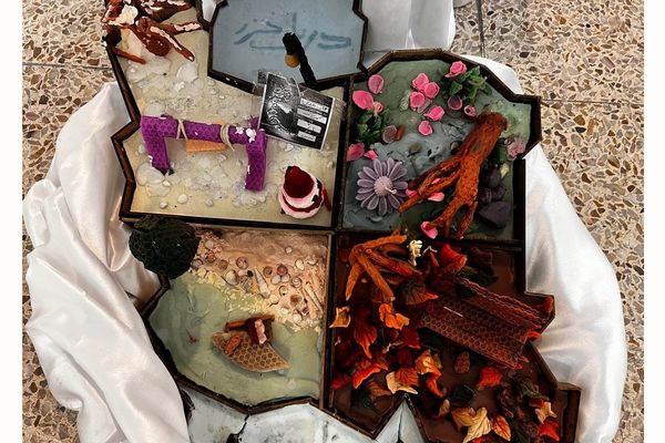 پایان کار نمایشگاه گیاهان دارویی پژوهش‌سرای کاوش کهریزک 