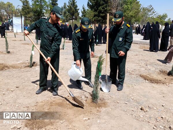 پویش سرو ایران؛یادگاری از جنگ اخیر در دل طبیعت