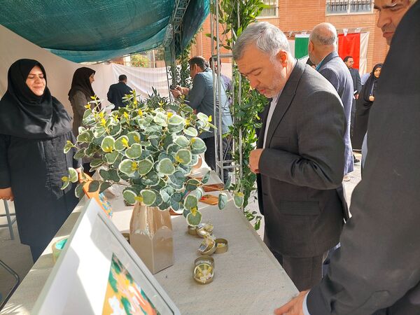 زنگ جوانه ها در مشهد به صدا در آمد