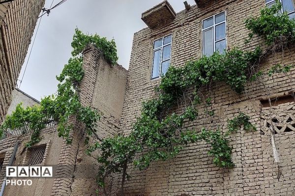 حال و هوای شهر بار نیشابور در فصل زیبای بهار