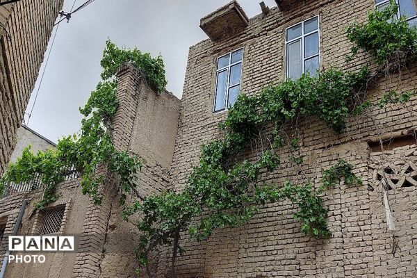 حال و هوای شهر بار نیشابور در فصل زیبای بهار