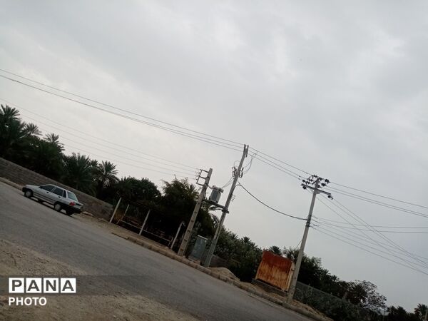 جوانان و مردم، پرچم عزا را در جای جای باغ شهر برافراشتند