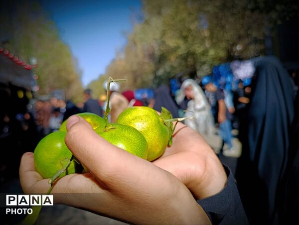 خدمت‌رسانی موکب ها در ایام شهادت حضرت معصومه(س)