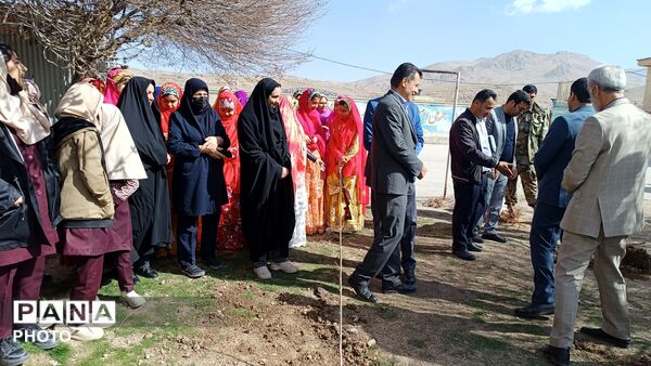 کاشت نهال در مدرسه خدیجه کبری شلمزار