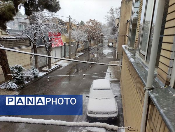 بارش برف و سفید پوش شدن شهر زیبای مشهد